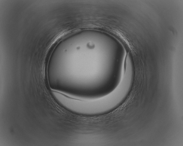 X0000116561173200912241609