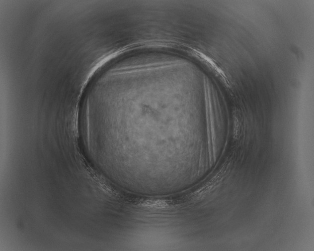 X0000116561174200912241609