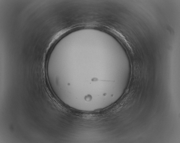 X0000116561176200912241609