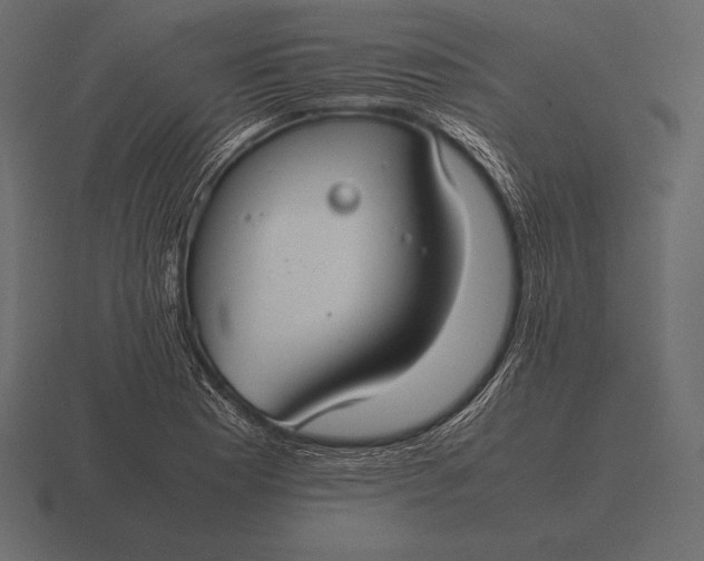 X0000116561177200912241609