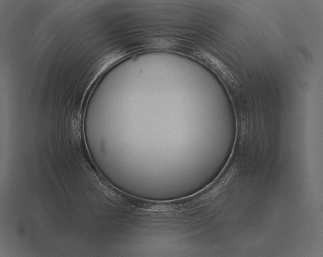 X0000116561178200912241609