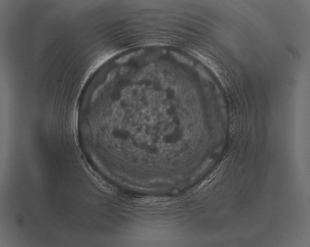 X0000116561179200912241609