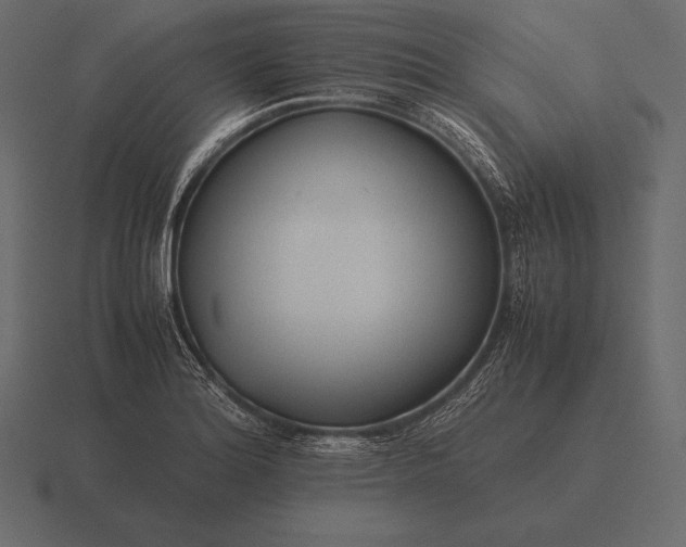 X0000116561180200912241609