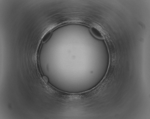 X0000116561181200912241609