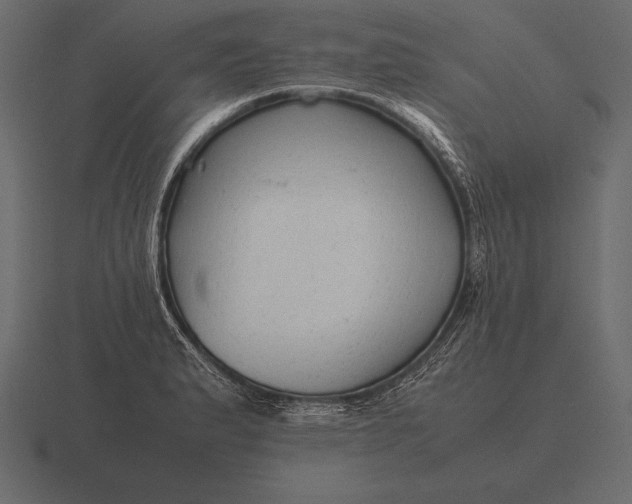 X0000116561183200912241609