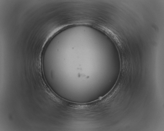 X0000116561184200912241609