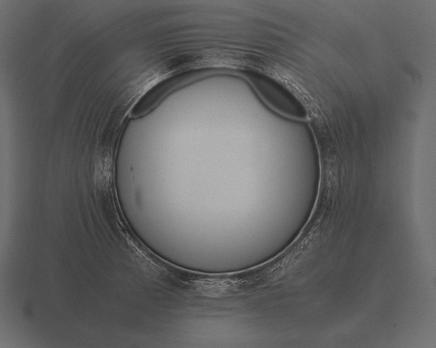 X0000116561185200912241609