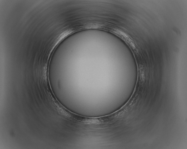 X0000116561186200912241609