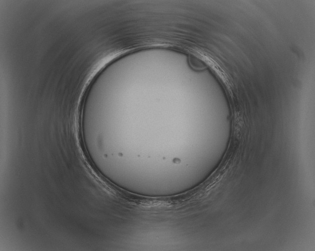 X0000116561187200912241609