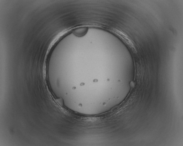 X0000116561188200912241609