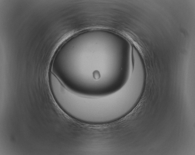 X0000116561189200912241609