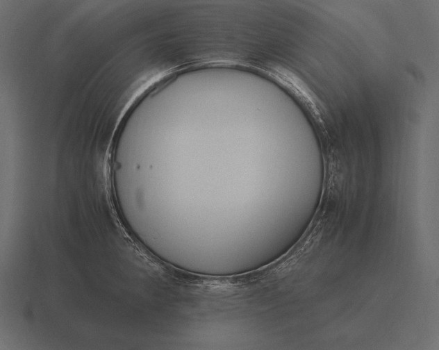 X0000116561190200912241609