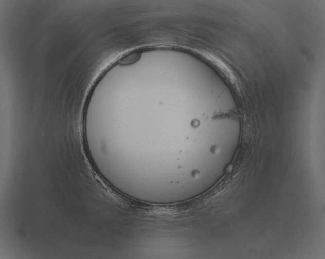 X0000116561191200912241609