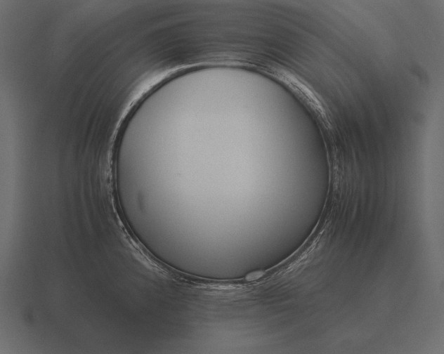 X0000116561192200912241609