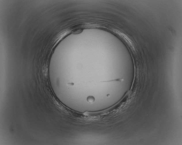 X0000116561193200912241609