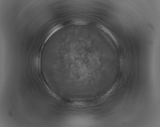 X0000116561194200912241609