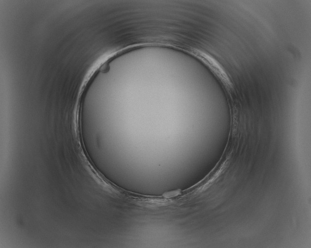 X0000116561196200912241609