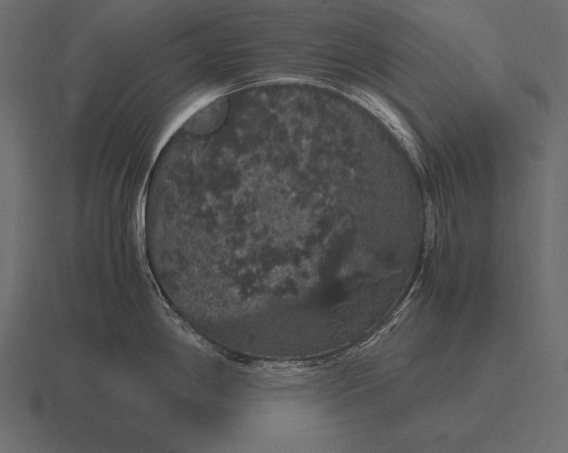 X0000116561198200912241609