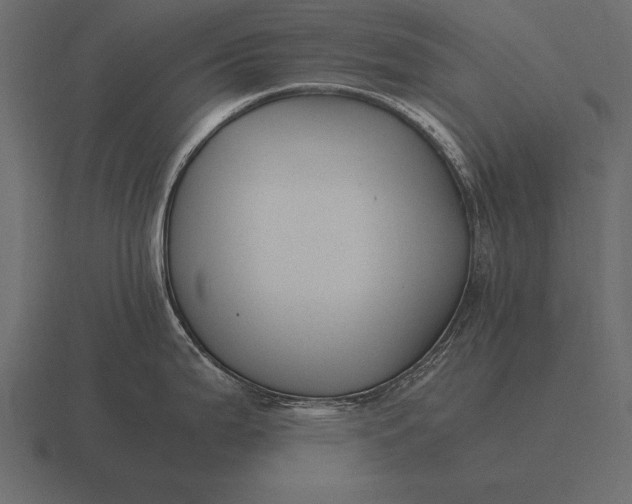 X0000116561199200912241609