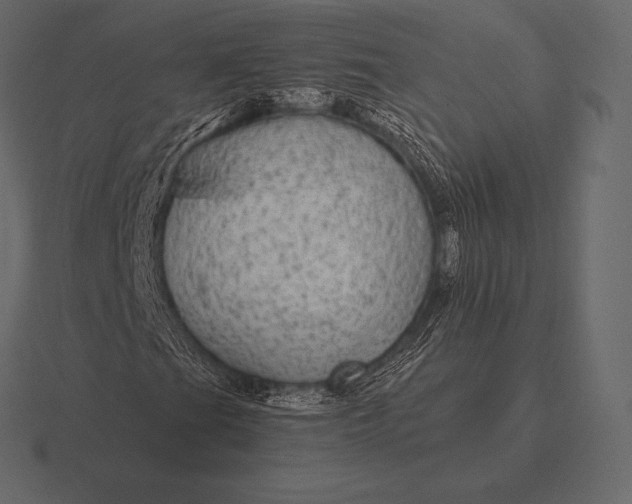 X0000116561201200912241608