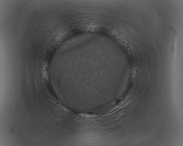 X0000116561202200912241608