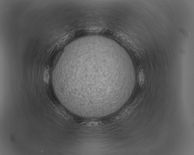 X0000116561204200912241608