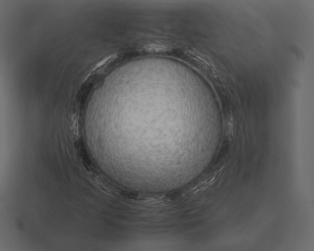 X0000116561205200912241608