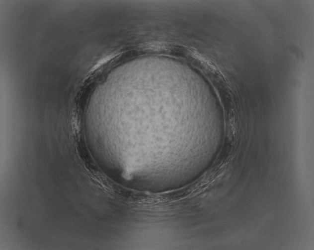 X0000116561206200912241608