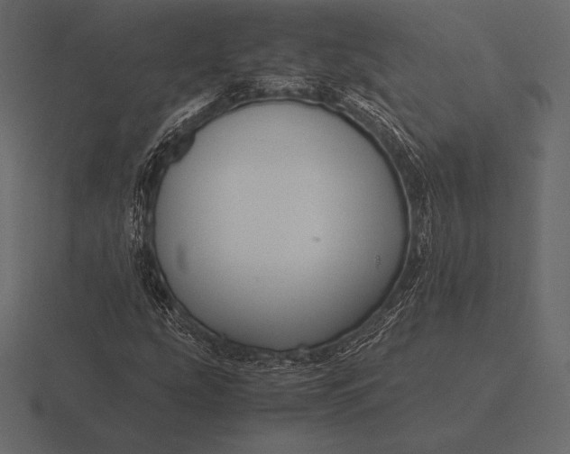 X0000116561207200912241608