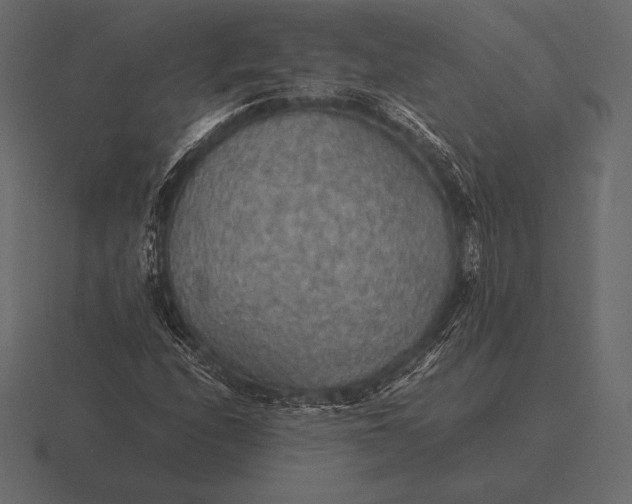 X0000116561208200912241608