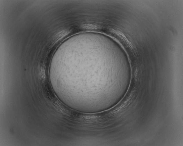 X0000116561209200912241608