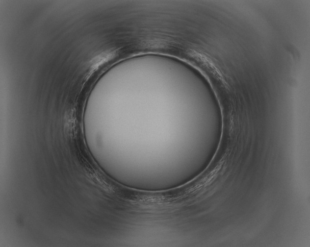 X0000116561210200912241608