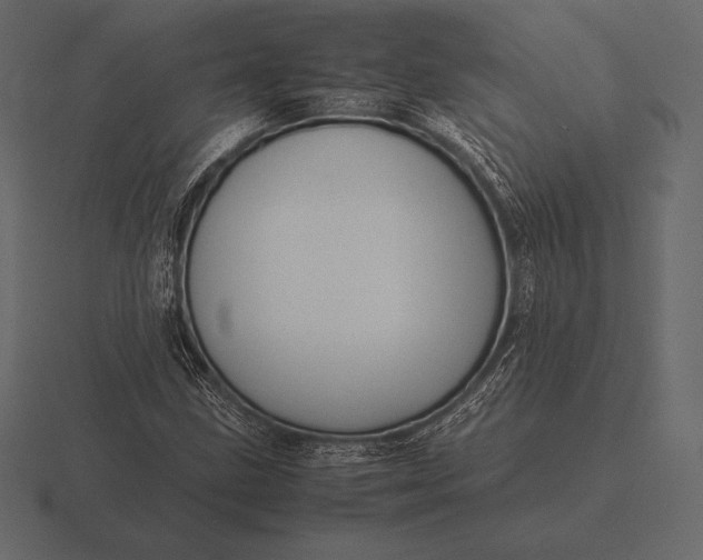 X0000116561211200912241608