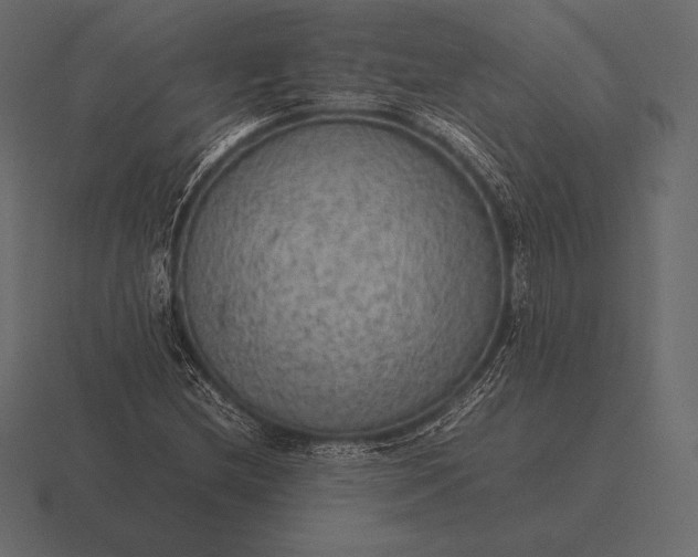 X0000116561212200912241608