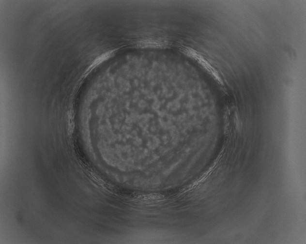 X0000116561213200912241608