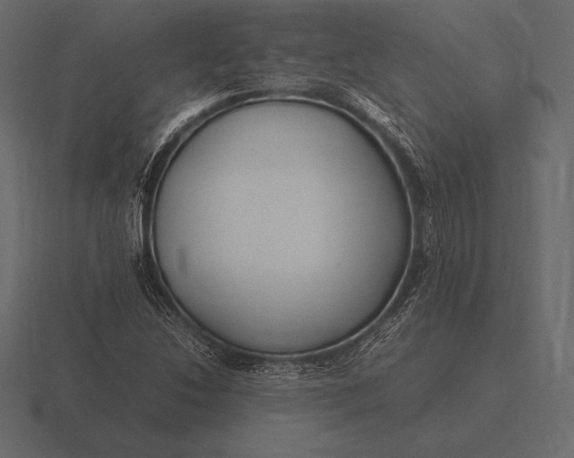 X0000116561214200912241608