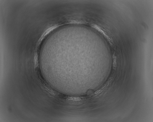 X0000116561215200912241608