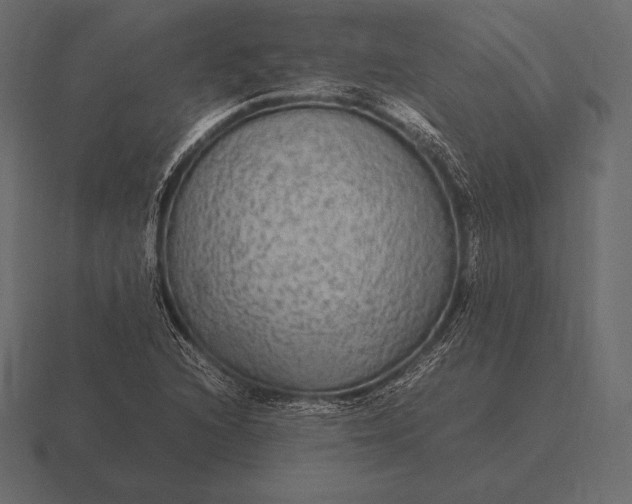 X0000116561216200912241608