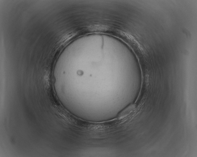 X0000116561217200912241608