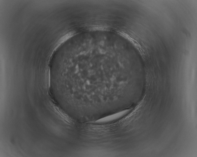 X0000116561219200912241608