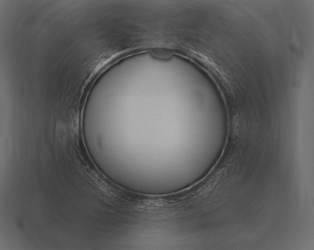 X0000116561220200912241608