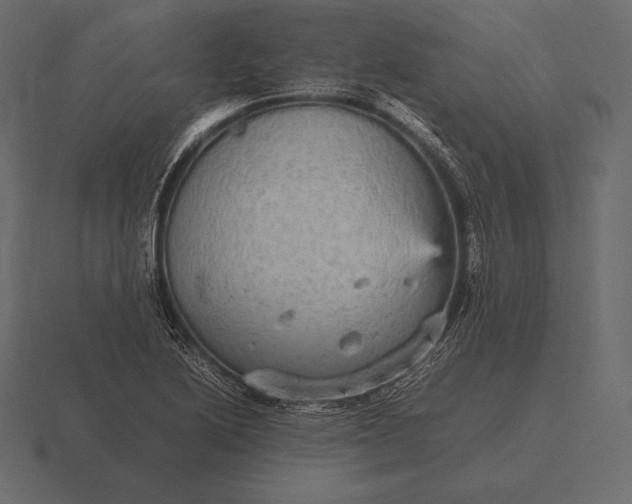 X0000116561222200912241608