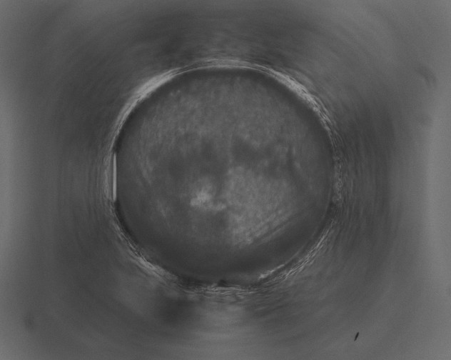 X0000116561223200912241608