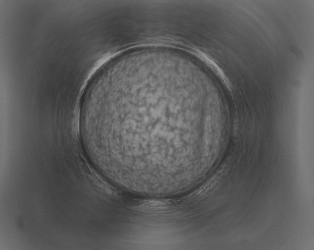 X0000116561224200912241608