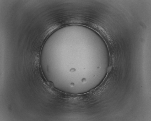 X0000116561225200912241608