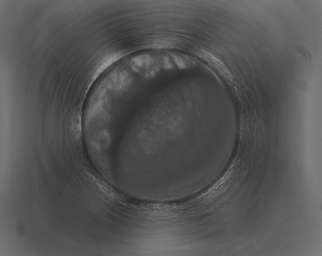 X0000116561226200912241608