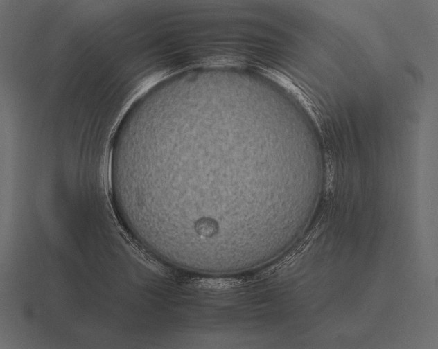 X0000116561227200912241608