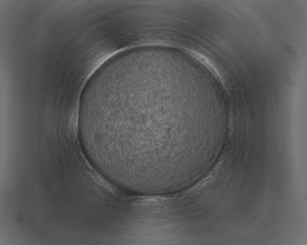 X0000116561228200912241608