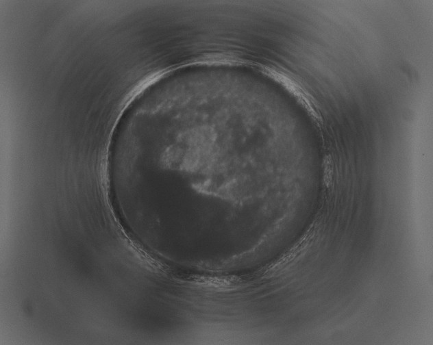 X0000116561229200912241608