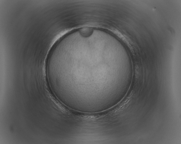 X0000116561230200912241608